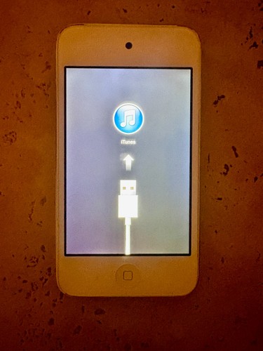 Apple ipod touch generazione - touch, 4